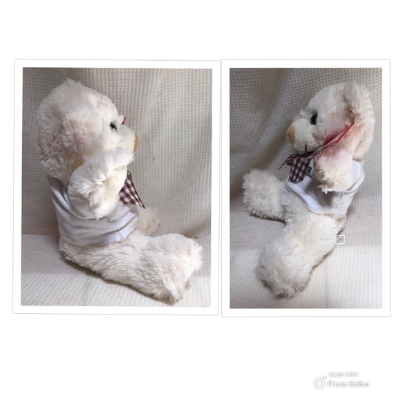 KIWANIS CLUB COLLECTIBLE PLUSH TEDDY BEAR STUFFED - Picture 5 of 9